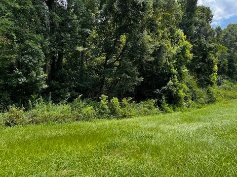 0000 Solomon Dairy Road Quincy FL 32351