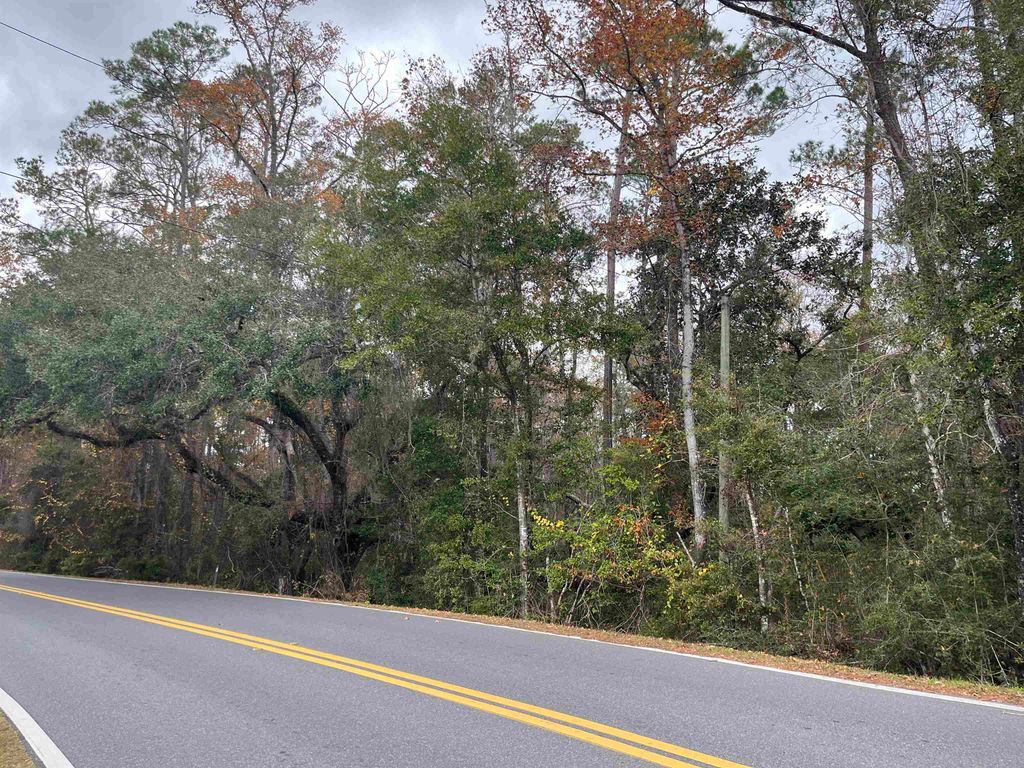 Photo of XX Lawhon Mill Road, Crawfordville, FL 32327 (MLS # 380041)