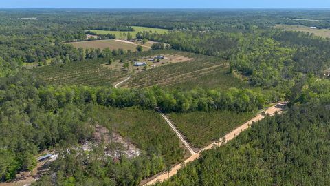 Tiny photo for 505 Goodson Road, Quincy, FL 32351 (MLS # 398723)