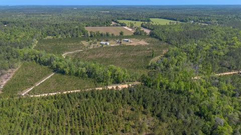 Tiny photo for 505 Goodson Road, Quincy, FL 32351 (MLS # 398723)