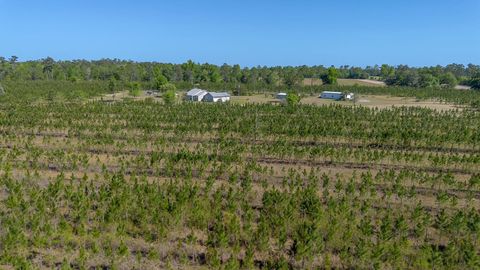 Tiny photo for 505 Goodson Road, Quincy, FL 32351 (MLS # 398723)