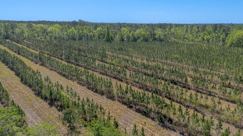 Tiny photo for 505 Goodson Road, Quincy, FL 32351 (MLS # 398723)