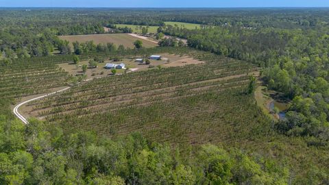 Tiny photo for 505 Goodson Road, Quincy, FL 32351 (MLS # 398723)