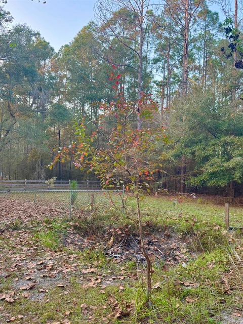 Tiny photo for 11023 Brigade Drive, Tallahassee, FL 32305 (MLS # 393616)