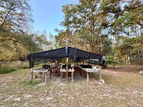 Tiny photo for 11023 Brigade Drive, Tallahassee, FL 32305 (MLS # 393616)