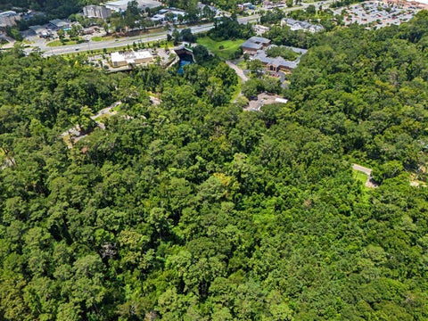 Tiny photo for 0 OKEEHEEPKEE RD Road, Tallahassee, FL 32303 (MLS # 402516)