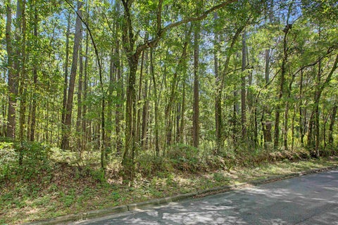 Tiny photo for 0 OKEEHEEPKEE RD Road, Tallahassee, FL 32303 (MLS # 402516)