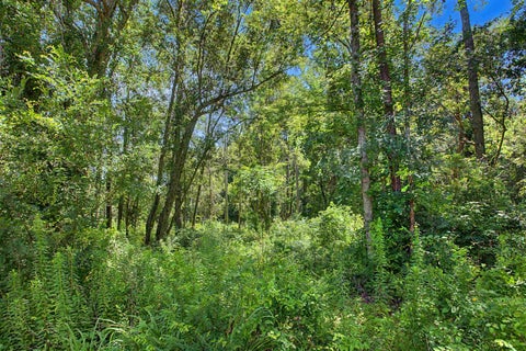 Tiny photo for 0 OKEEHEEPKEE RD Road, Tallahassee, FL 32303 (MLS # 402516)