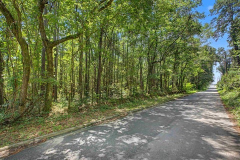 Tiny photo for 0 OKEEHEEPKEE RD Road, Tallahassee, FL 32303 (MLS # 402516)