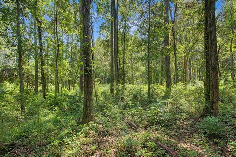 Tiny photo for 0 OKEEHEEPKEE RD Road, Tallahassee, FL 32303 (MLS # 402516)