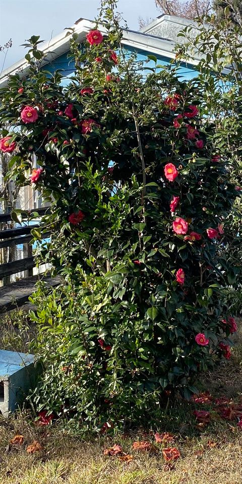 Tiny photo for 470 SW Lee Avenue, Madison, FL 32340 (MLS # 394521)