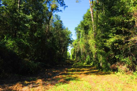 Tiny photo for 4420 Blue Bill Pass, Tallahassee, FL 32303 (MLS # 399336)