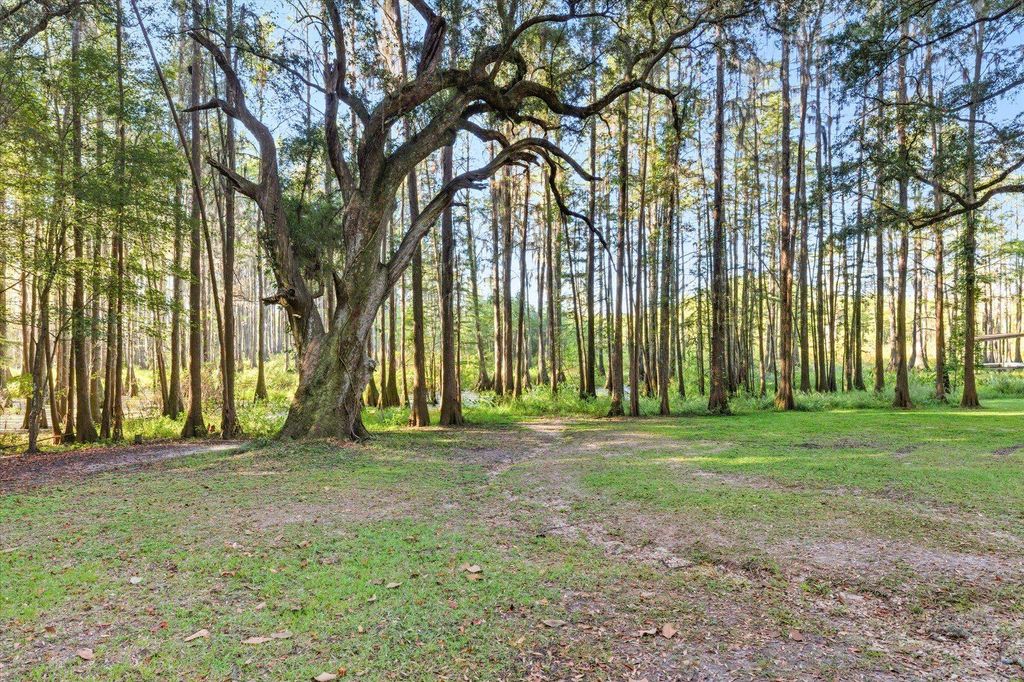 Photo of 7737 Deepwood Trail, Tallahassee, FL 32317 (MLS # 392155)