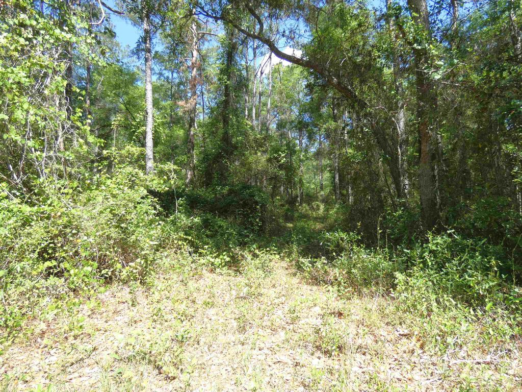 Photo of 1310 Piney Woods Road, Monticello, FL 32344 (MLS # 398778)