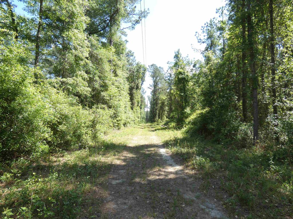 Photo of 1310 Piney Woods Road, Monticello, FL 32344 (MLS # 398778)