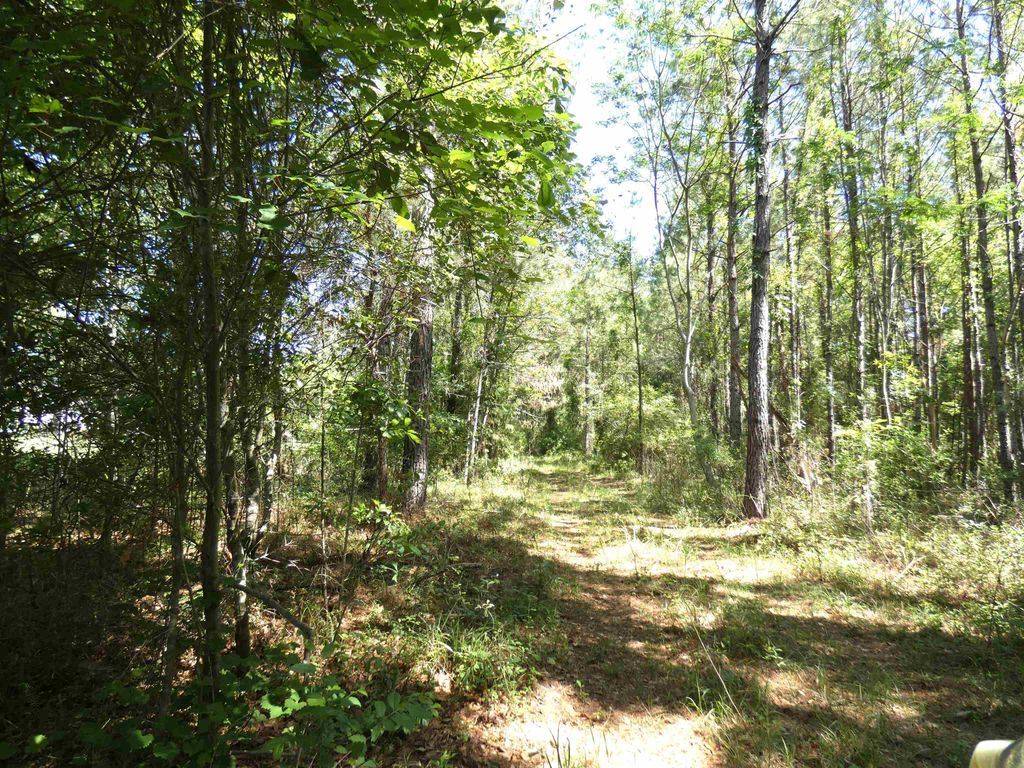 Photo of 1310 Piney Woods Road, Monticello, FL 32344 (MLS # 398778)