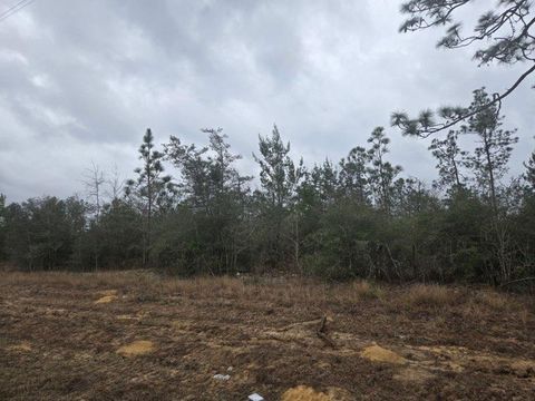 0000 NW CR 274 Road Altha FL 32421