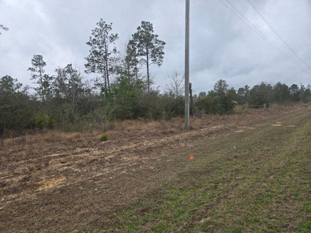 Photo of 0000 NW CR 274 Road, Altha, FL 32421 (MLS # 396717)