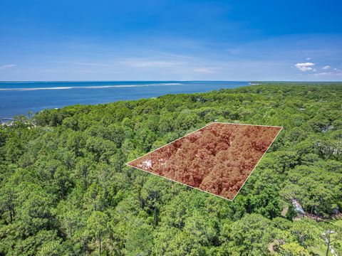 Tiny photo for 113 Yancey Lane, Carrabelle, FL 32322 (MLS # 401922)