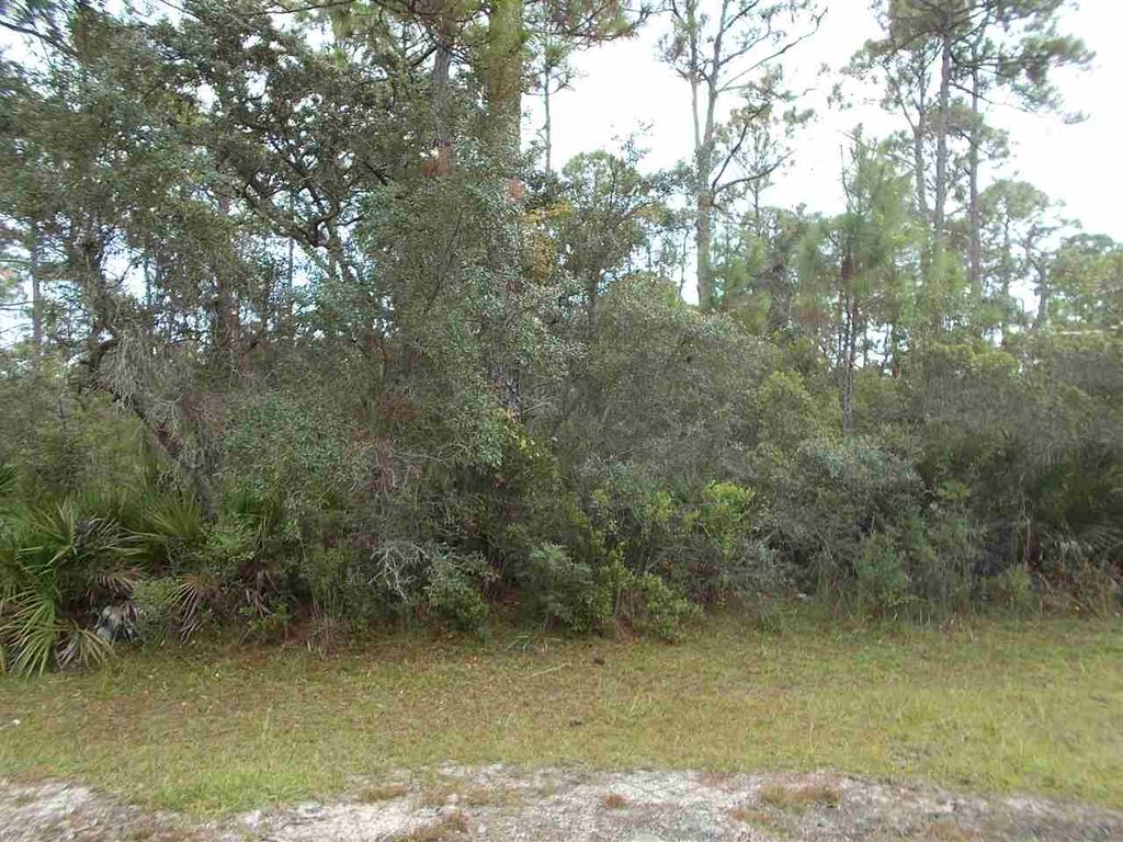 Photo of 25 Piper Lane, Panacea, FL 32346 (MLS # 399928)