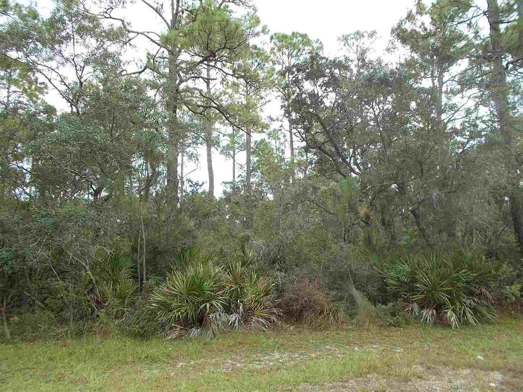 Photo of 25 Piper Lane, Panacea, FL 32346 (MLS # 399928)