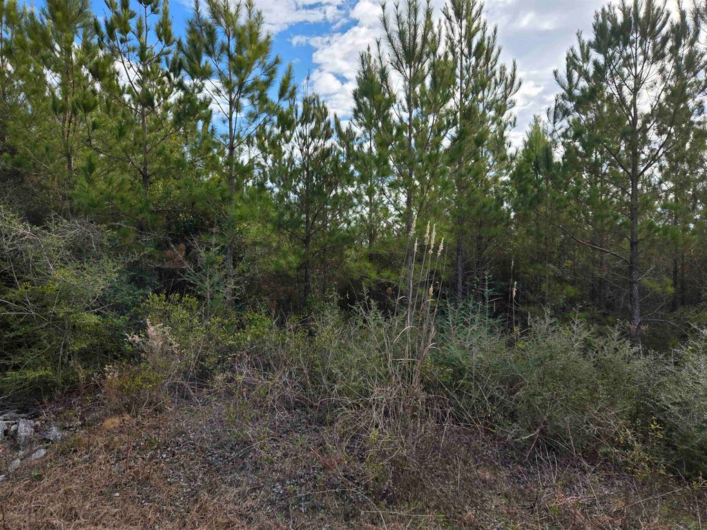 Photo of xxx NW Church Road, Altha, FL 32421 (MLS # 395267)