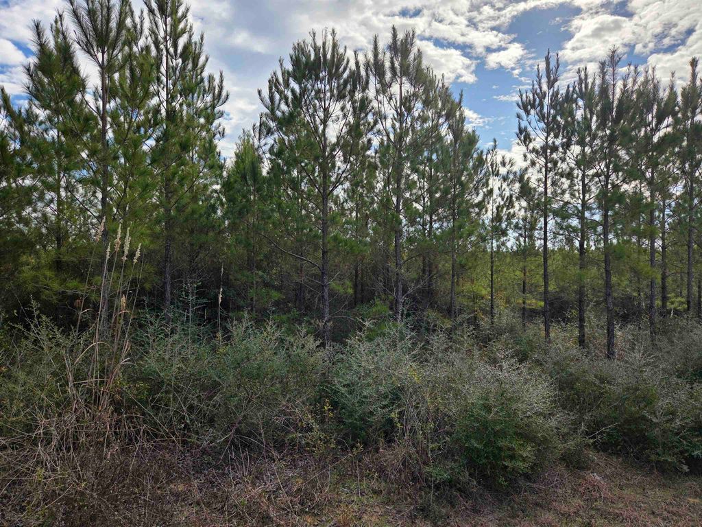 Photo of xxx NW Church Road, Altha, FL 32421 (MLS # 395267)