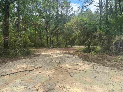 Tiny photo for 8024 Meridale Drive, Woodville, FL 32305 (MLS # 399035)