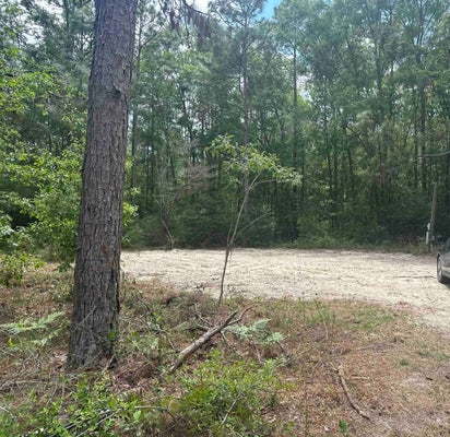 8024 MERIDALE DR, TALLAHASSEE, FL 32305 - Image 13b78fec2ff8f46cfda03f221ea465a1/247735059