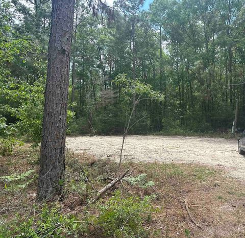 Photo of 8024 Meridale Drive, Woodville, FL 32305 (MLS # 399035)