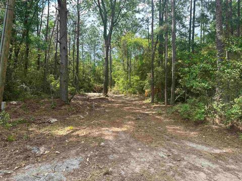 Tiny photo for 8024 Meridale Drive, Woodville, FL 32305 (MLS # 399035)