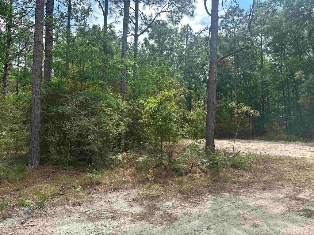 Photo of 8024 Meridale Drive, Woodville, FL 32305 (MLS # 399035)