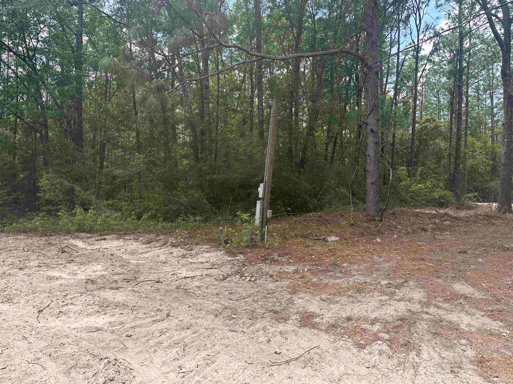 Photo of 8024 Meridale Drive, Woodville, FL 32305 (MLS # 399035)
