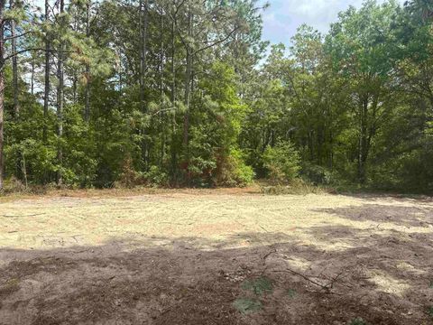 Tiny photo for 8024 Meridale Drive, Woodville, FL 32305 (MLS # 399035)