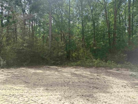 Tiny photo for 8024 Meridale Drive, Woodville, FL 32305 (MLS # 399035)