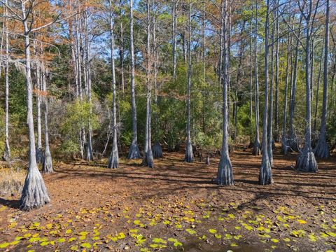 Tiny photo for 0 Tram Road, Tallahassee, FL 32311 (MLS # 393471)