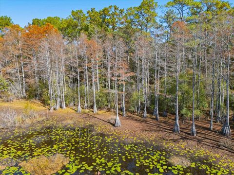 Tiny photo for 0 Tram Road, Tallahassee, FL 32311 (MLS # 393471)