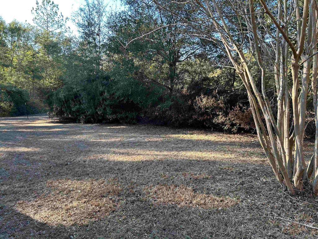 Photo of 752 N Forest Cir Circle, Havana, FL 32333 (MLS # 395919)