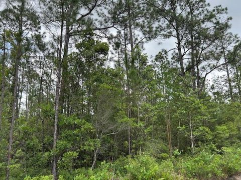 Tiny photo for xx N 15th Avenue, Other Florida, FL 32583 (MLS # 399408)