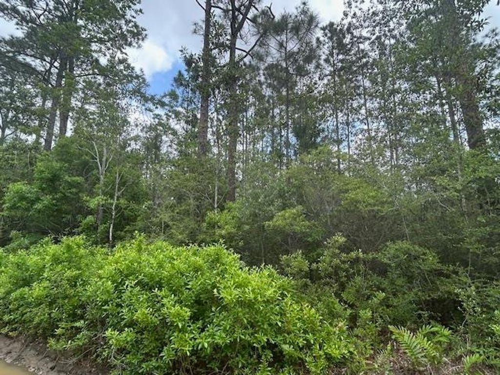 Photo of xx N 15th Avenue, Other Florida, FL 32583 (MLS # 399408)