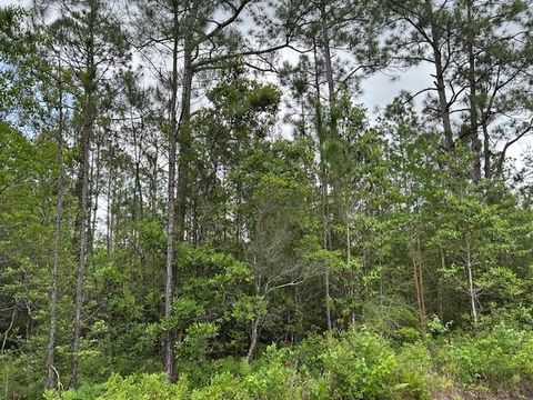 Tiny photo for xx N 15th Avenue, Other Florida, FL 32583 (MLS # 399408)