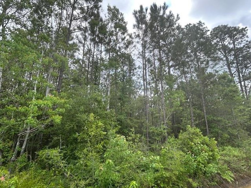 Photo of xx N 15th Avenue, Other Florida, FL 32583 (MLS # 399408)