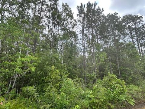 Photo of xx N 15th Avenue, Other Florida, FL 32583 (MLS # 399408)