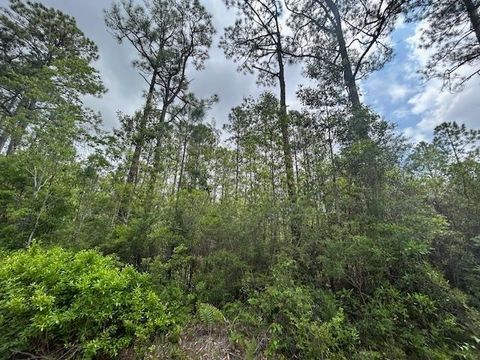 Tiny photo for xx N 15th Avenue, Other Florida, FL 32583 (MLS # 399408)