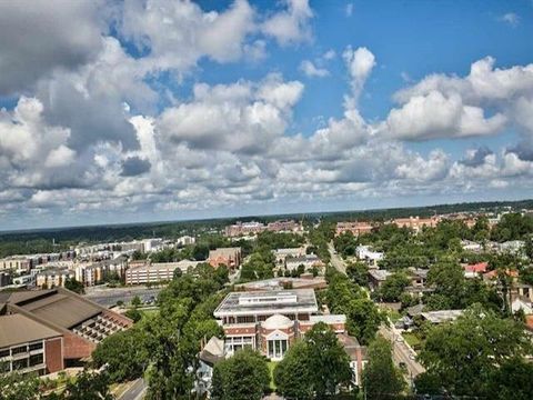 Tiny photo for 300 S Duval Street #1503, Tallahassee, FL 32301 (MLS # 394219)