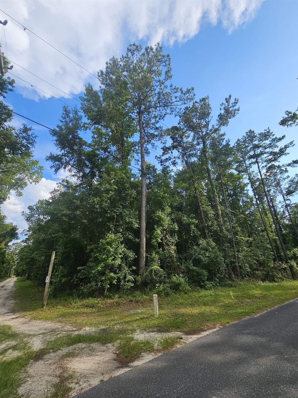 Photo of XX Staten Road, Crawfordville, FL 32327 (MLS # 387807)