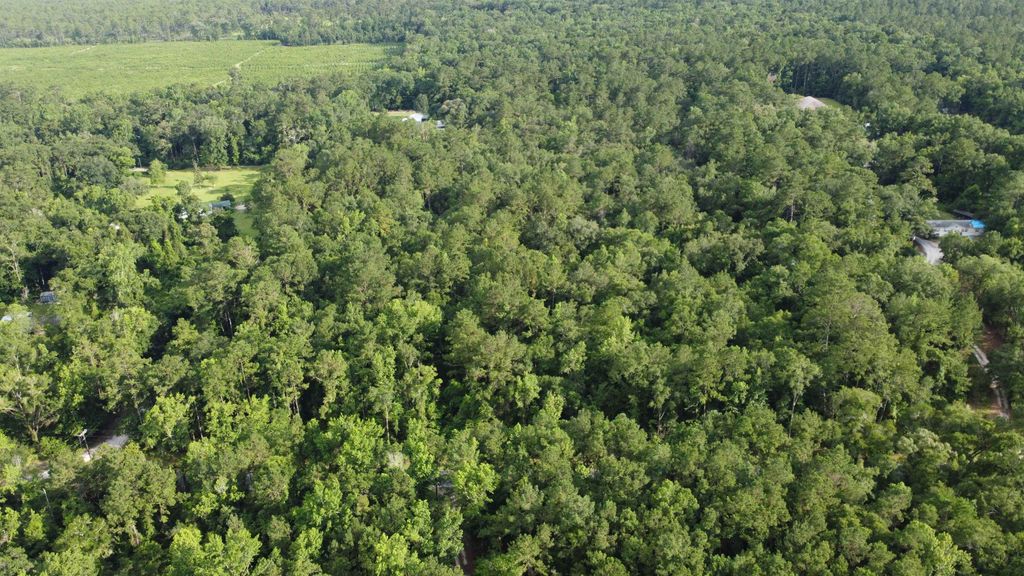 Photo of XX Staten Road, Crawfordville, FL 32327 (MLS # 387807)