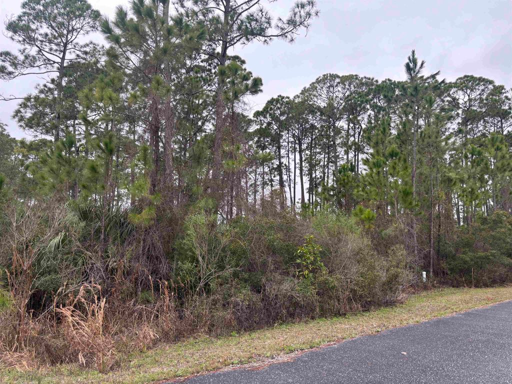Photo of Lot 42 Wilderness Way, Panacea, FL 32346 (MLS # 396829)