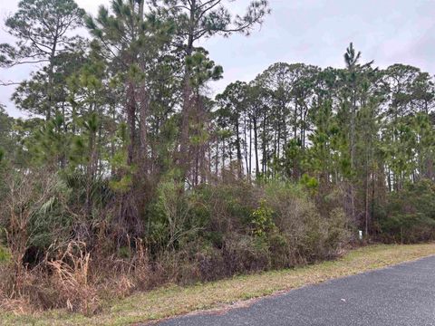 Lot 42 Wilderness Way Panacea FL 32346
