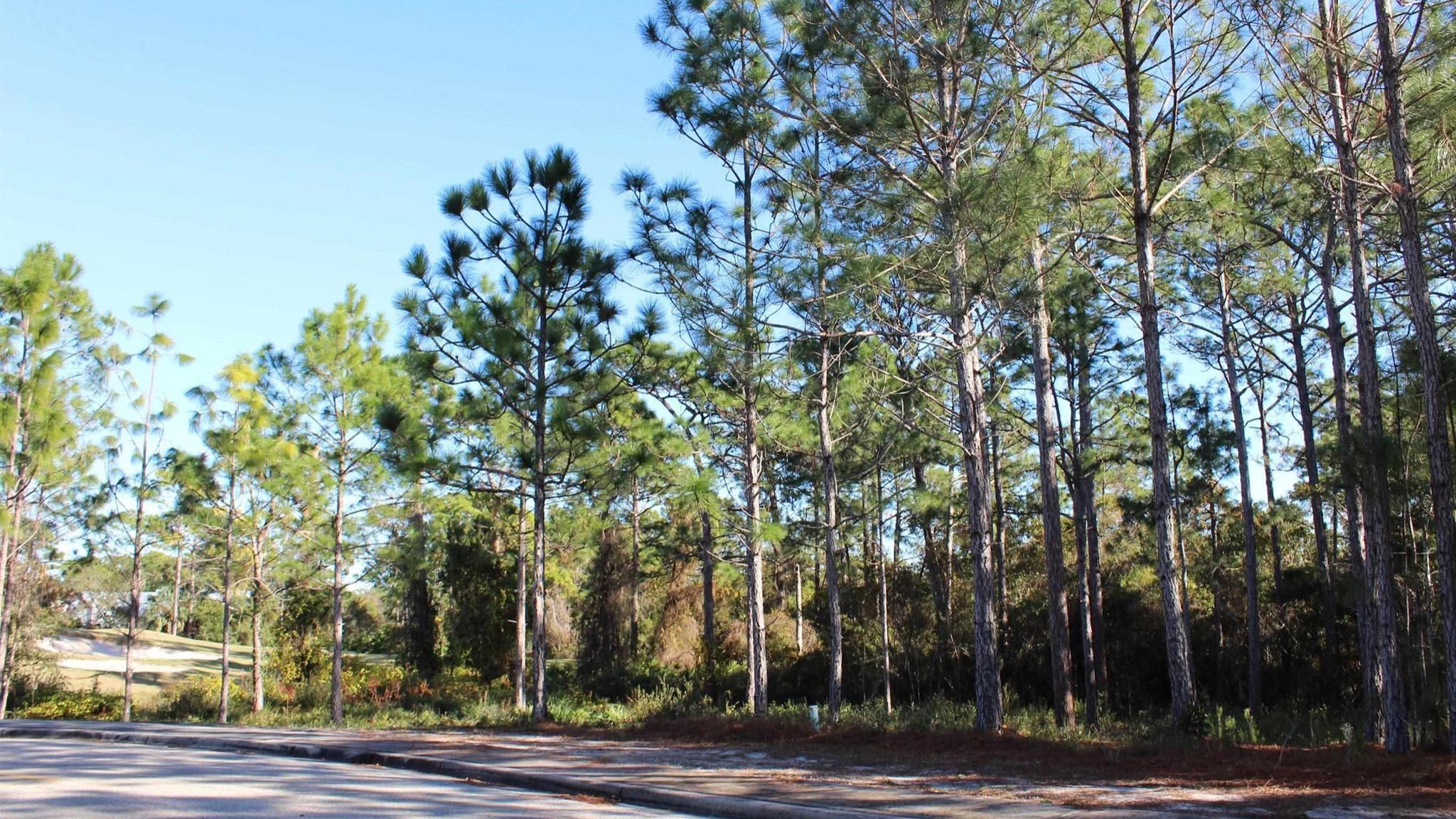 111 Plover Court 1-A